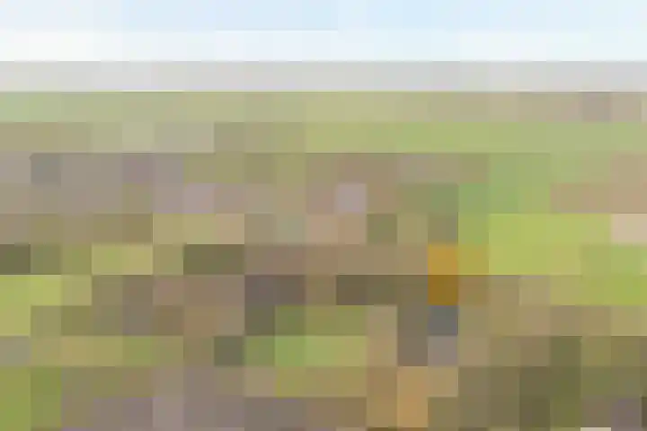 Midden 126 Wapserveen thumbnail 5