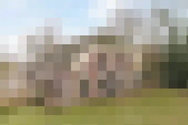 Midden 126 Wapserveen thumbnail 6