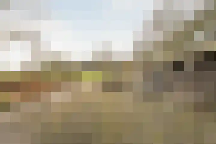 Midden 126 Wapserveen thumbnail 69