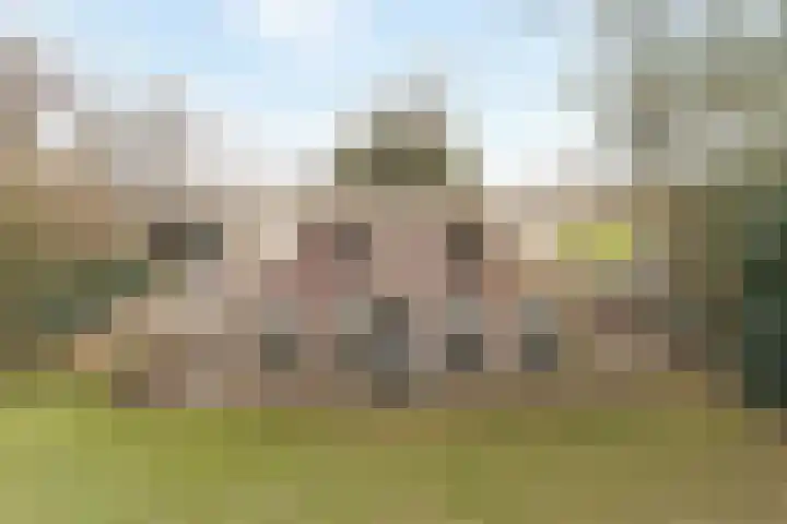 Midden 126 Wapserveen thumbnail 7