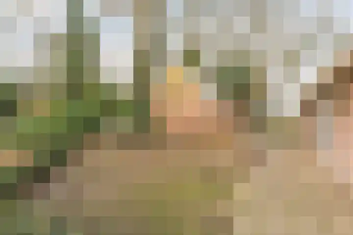 Midden 126 Wapserveen thumbnail 71