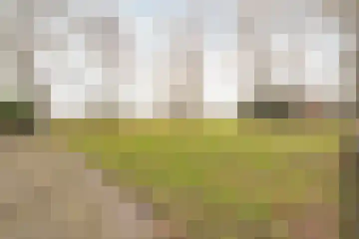 Midden 126 Wapserveen thumbnail 72