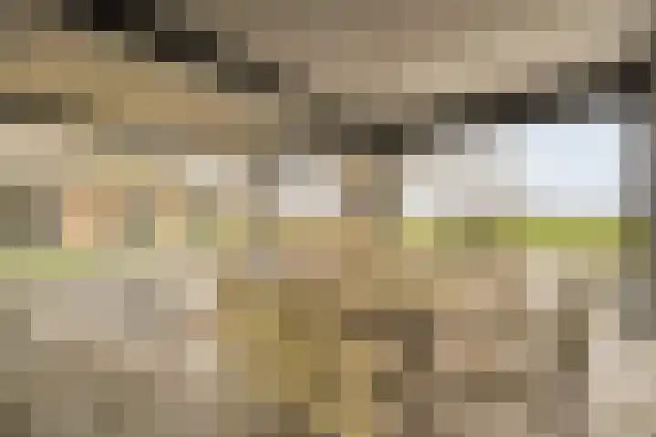 Midden 126 Wapserveen thumbnail 73