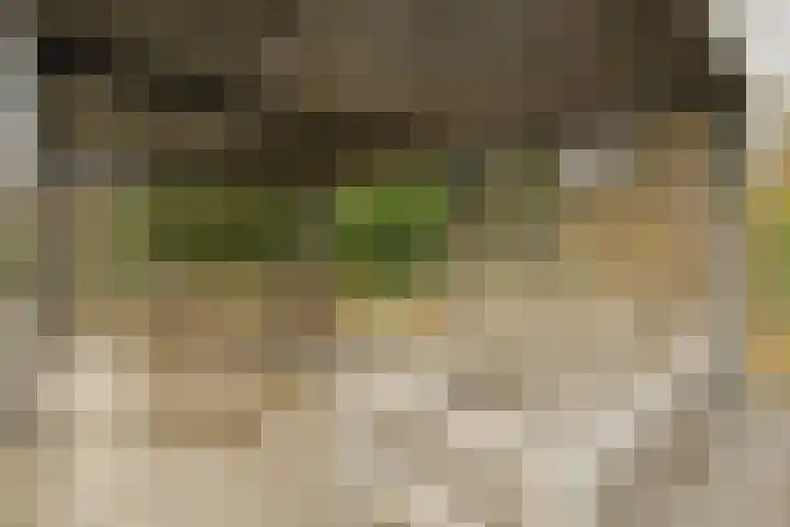 Midden 126 Wapserveen thumbnail 74
