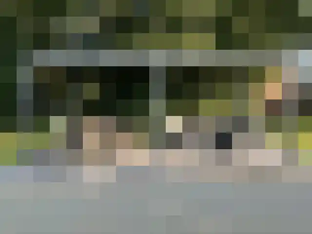 Midden 126 Wapserveen thumbnail 76