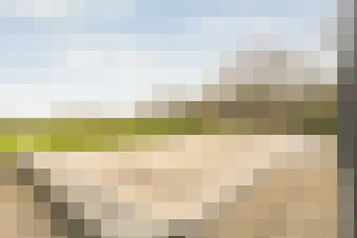 Midden 126 Wapserveen thumbnail 77