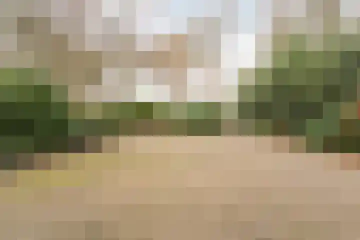Midden 126 Wapserveen thumbnail 78