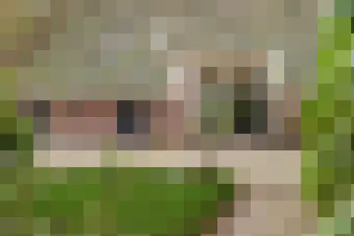 Midden 126 Wapserveen thumbnail 8