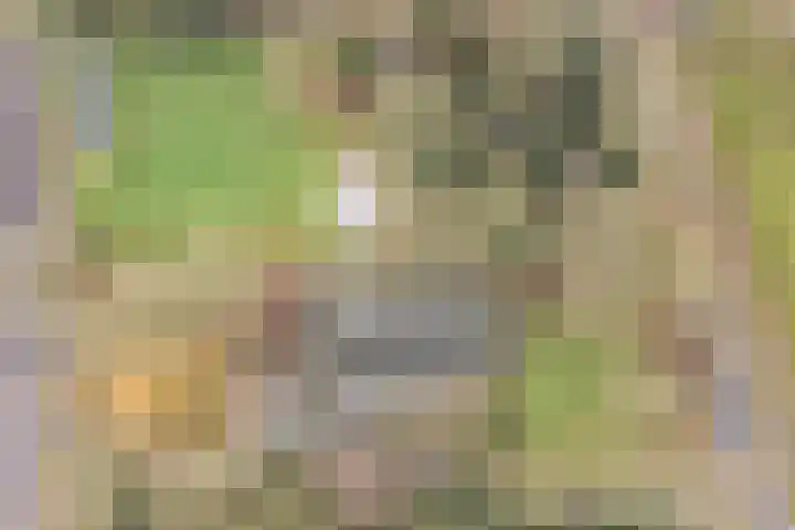 Midden 126 Wapserveen thumbnail 87