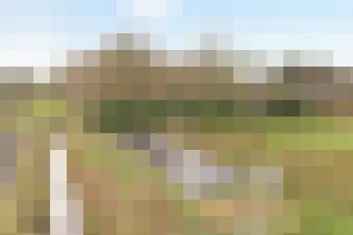 Midden 126 Wapserveen thumbnail 88