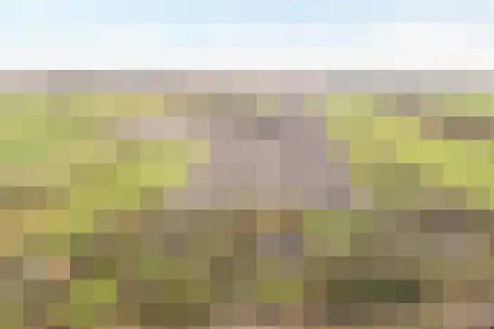 Midden 126 Wapserveen thumbnail 92