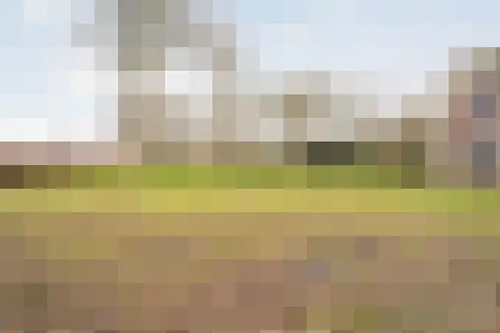 Midden 126 Wapserveen thumbnail 94