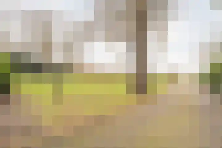 Midden 126 Wapserveen thumbnail 95