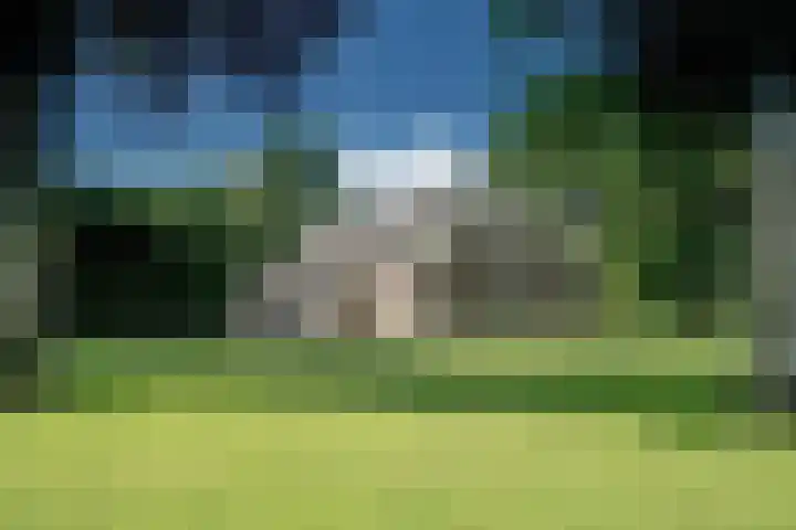 Midden 126 Wapserveen thumbnail 96