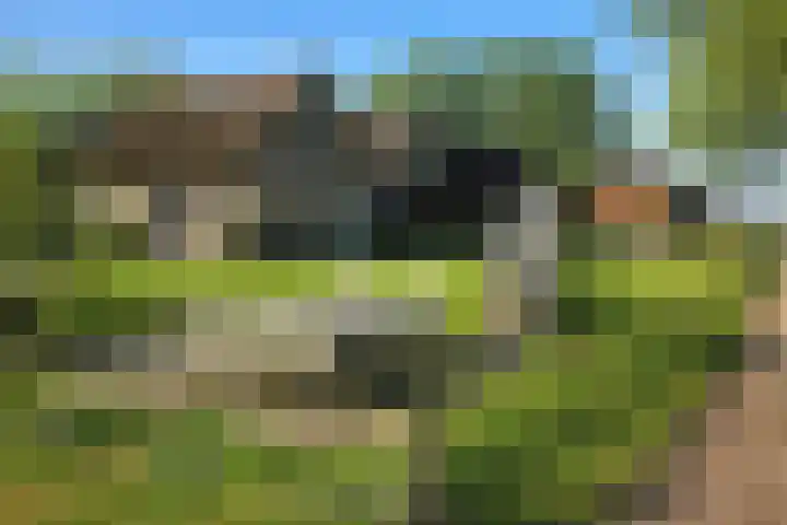 Midden 129 in Wapserveen