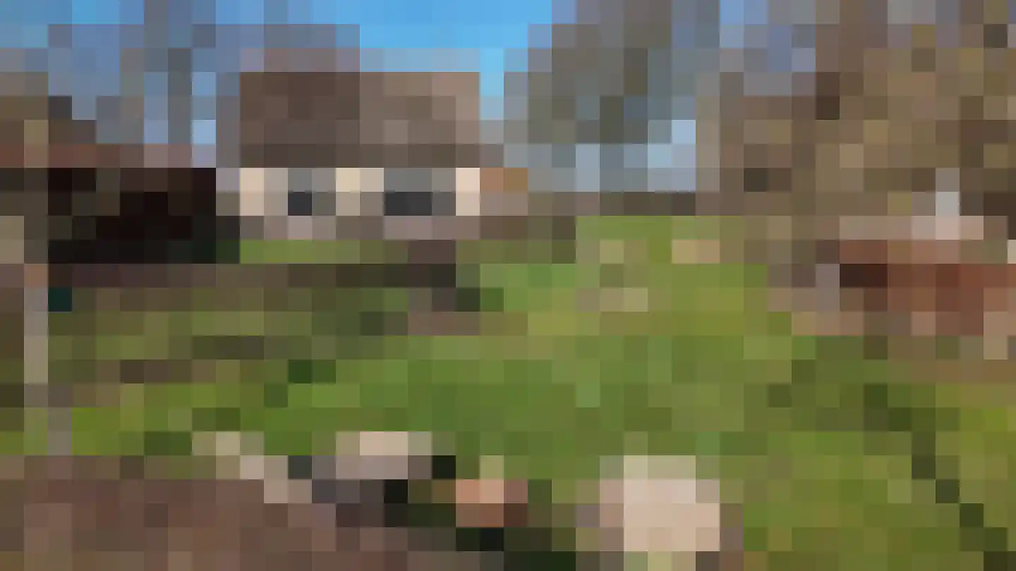 Midden 129 Wapserveen thumbnail 54
