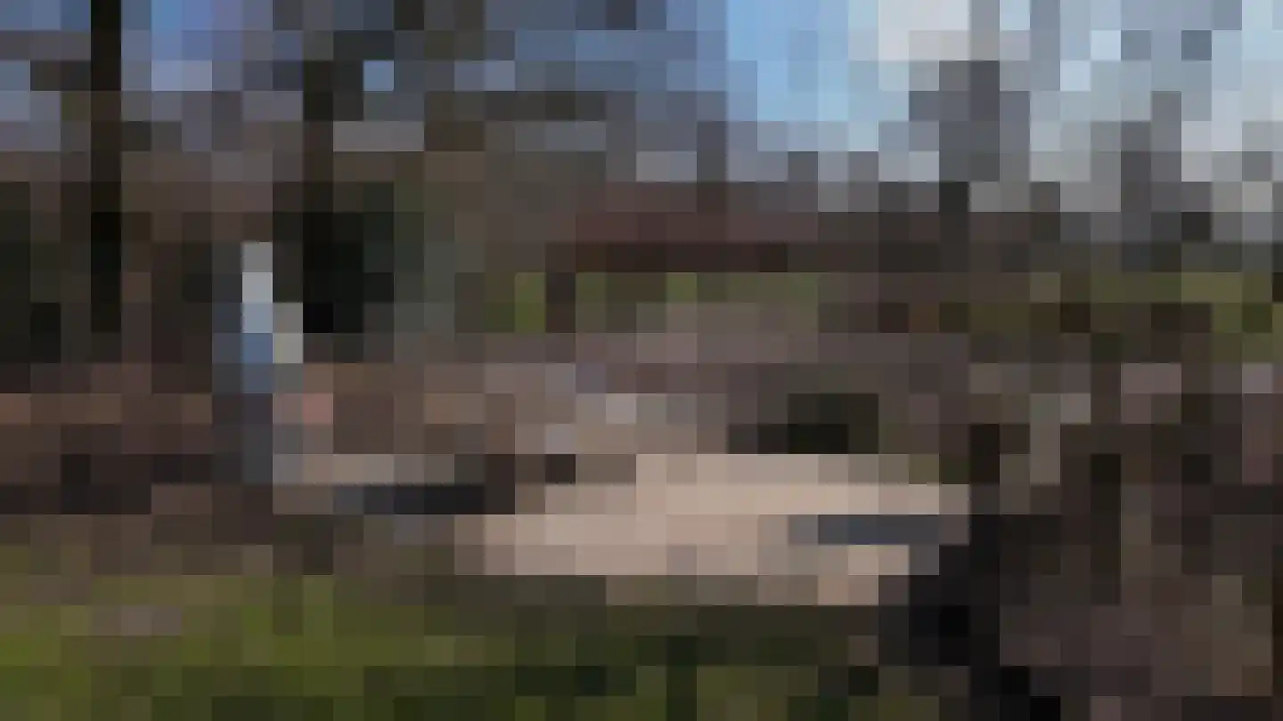Midden 129 Wapserveen thumbnail 55