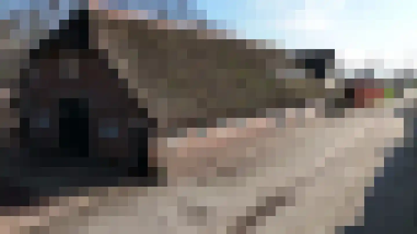 Midden 129 Wapserveen thumbnail 60