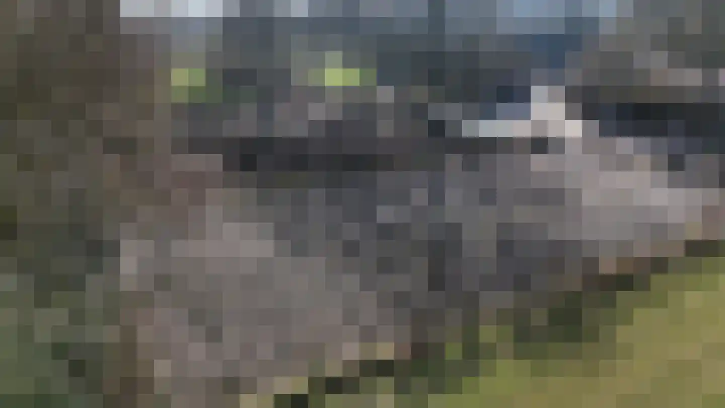 Midden 129 Wapserveen thumbnail 73
