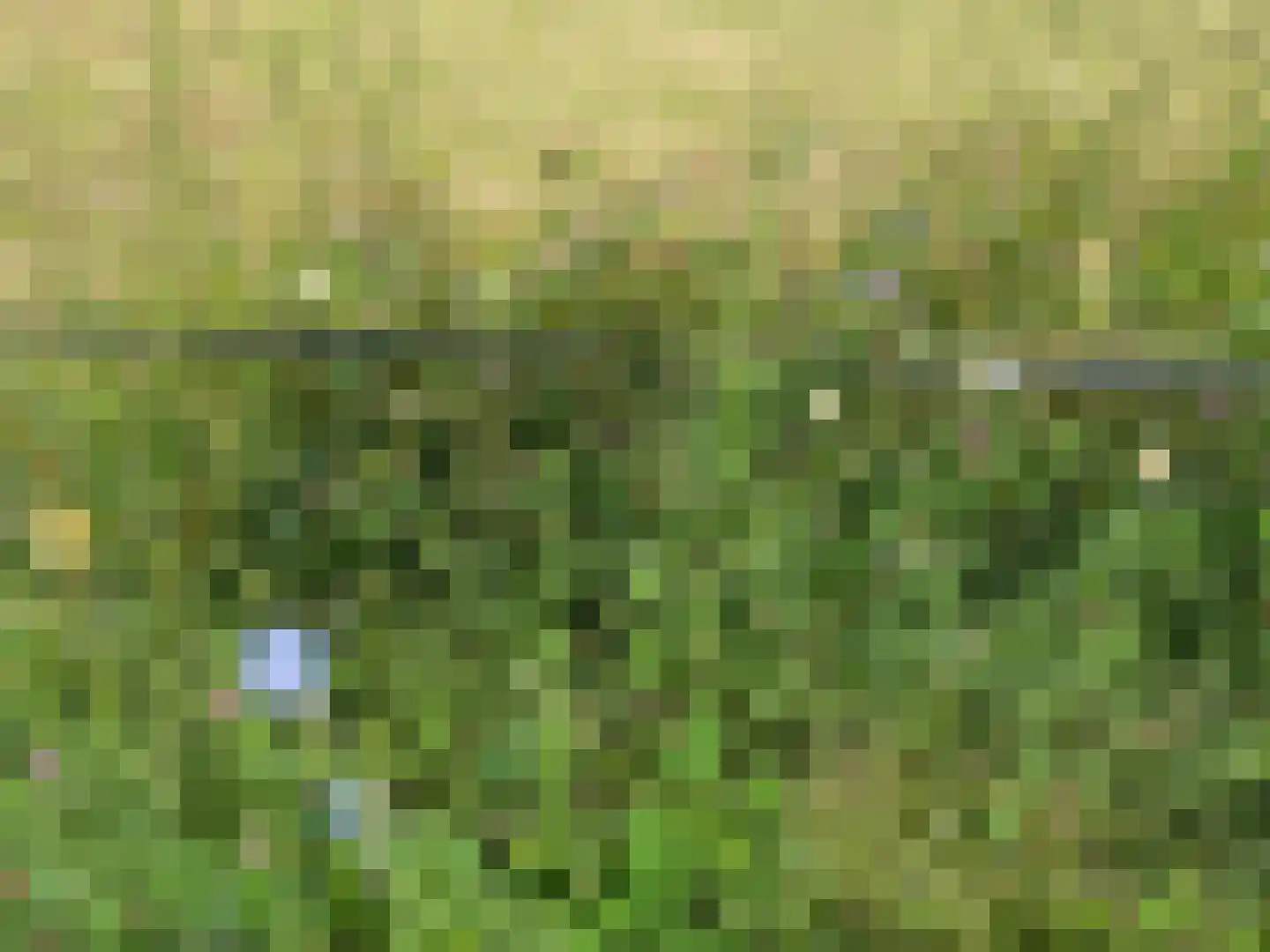 Midden 129 Wapserveen thumbnail 77