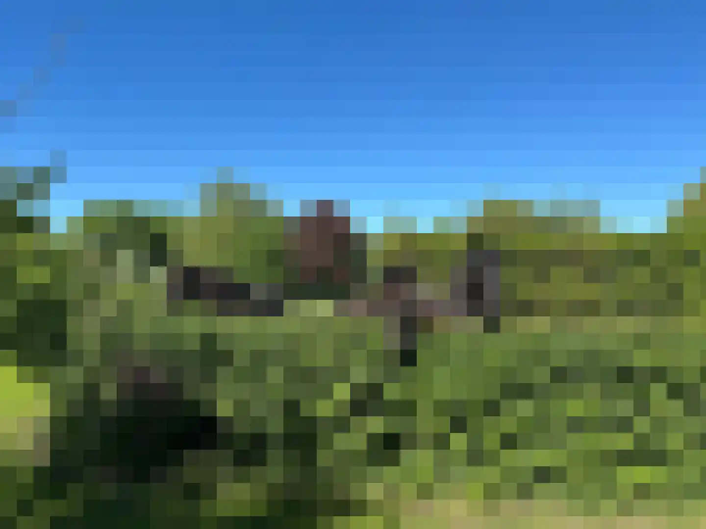 Midden 129 Wapserveen thumbnail 80