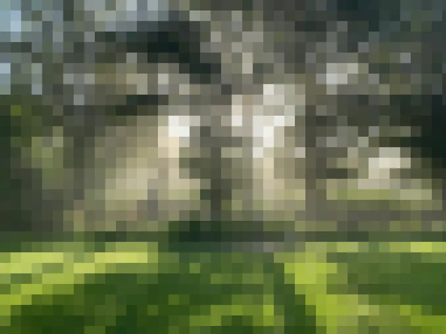 Midden 129 Wapserveen thumbnail 90