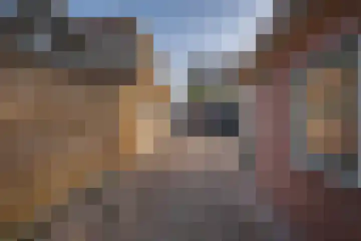 Midden 139 Wapserveen thumbnail 30