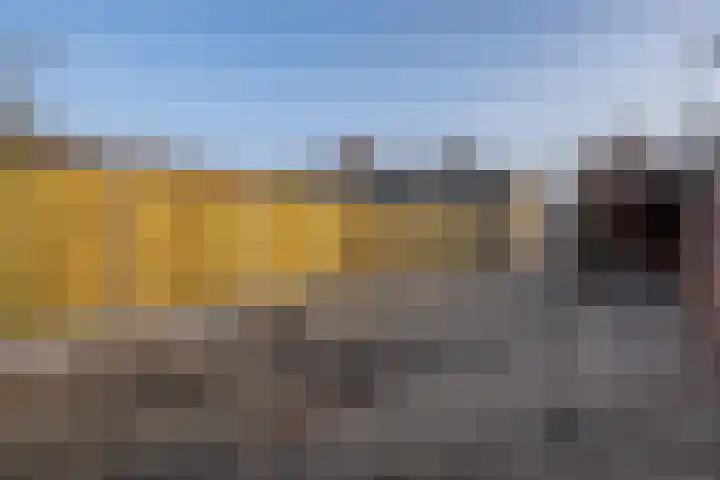 Midden 139 Wapserveen thumbnail 38
