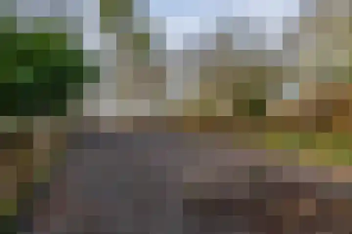 Midden 139 Wapserveen thumbnail 46