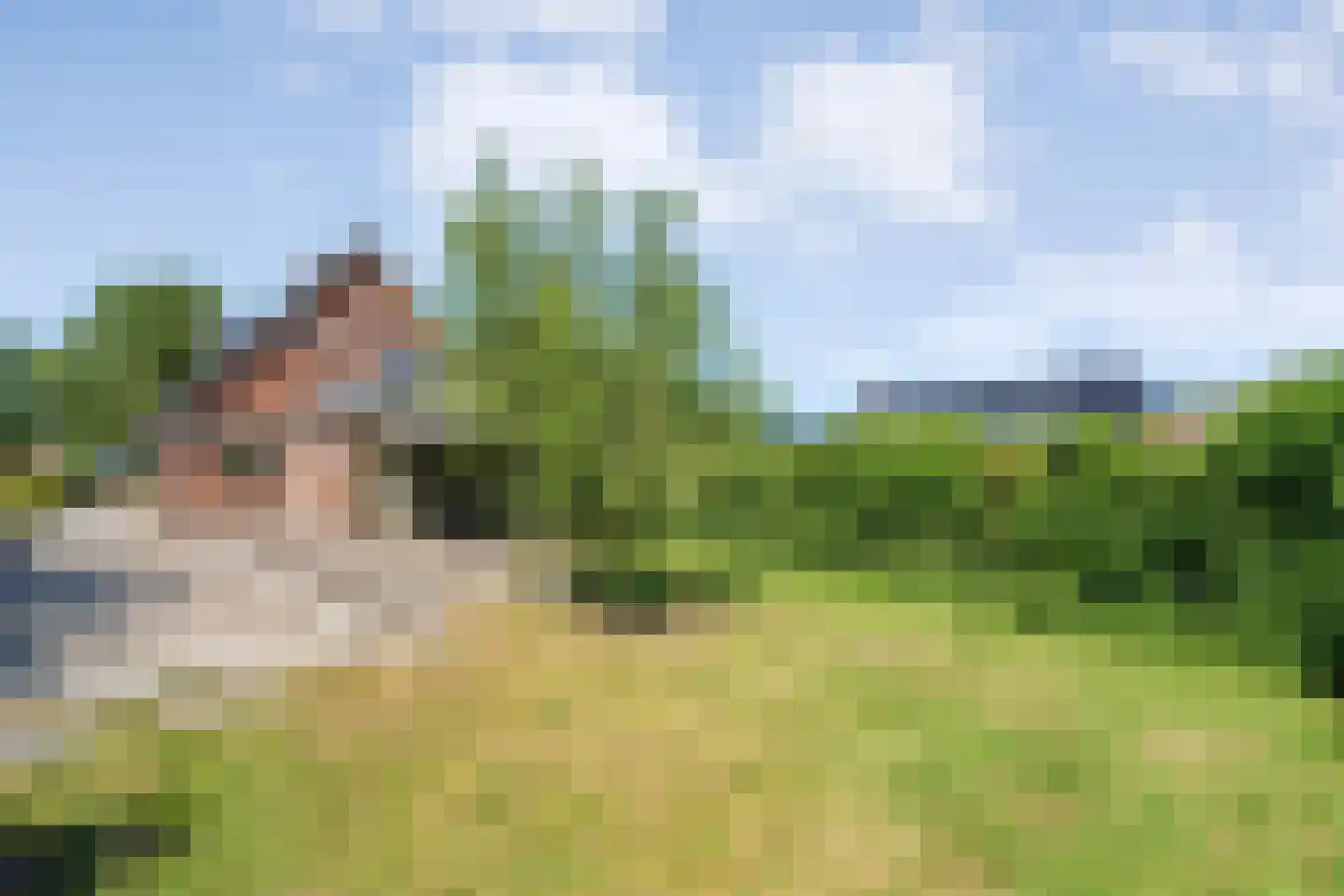 Midden 164 Wapserveen thumbnail 43