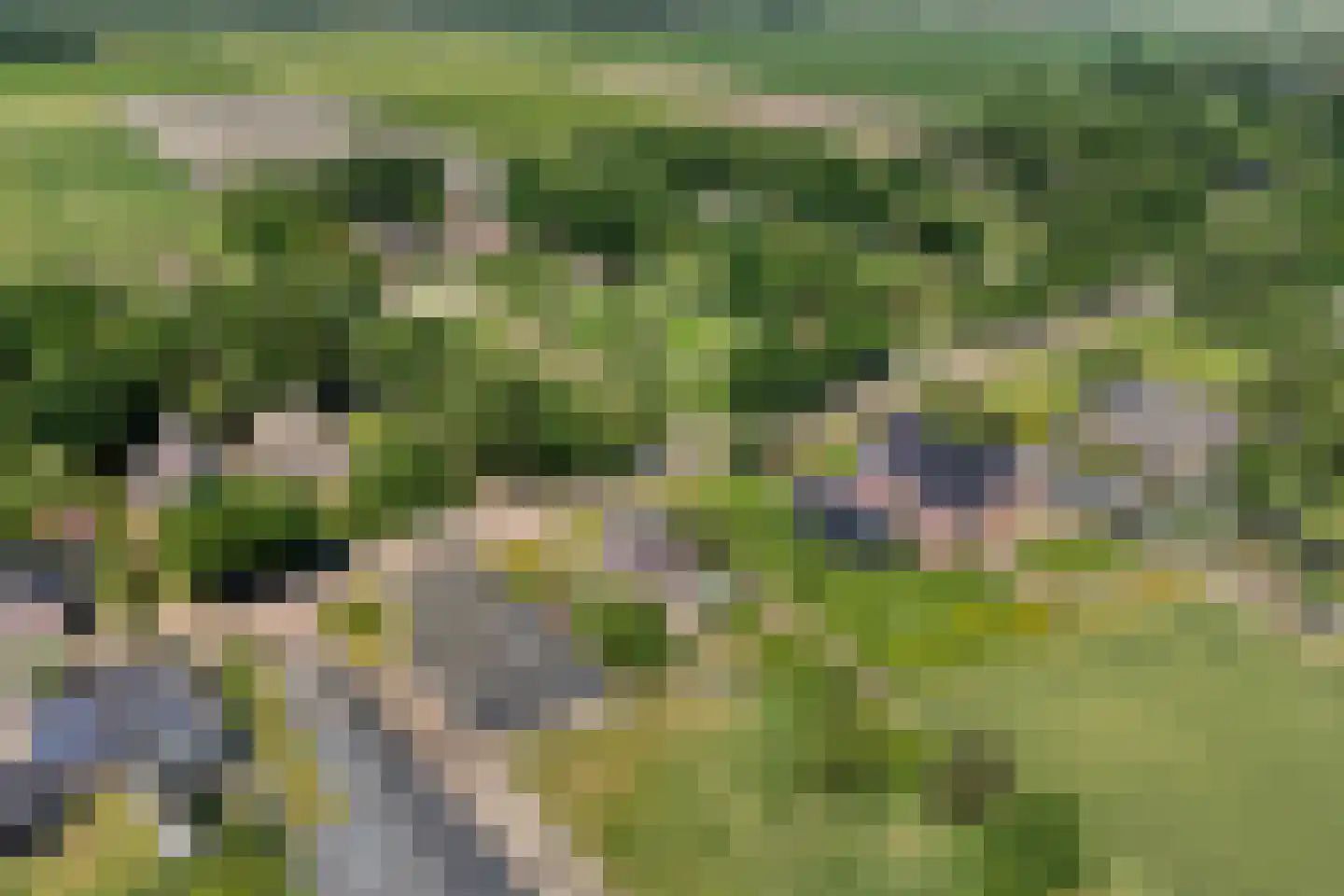 Midden 164 Wapserveen thumbnail 44
