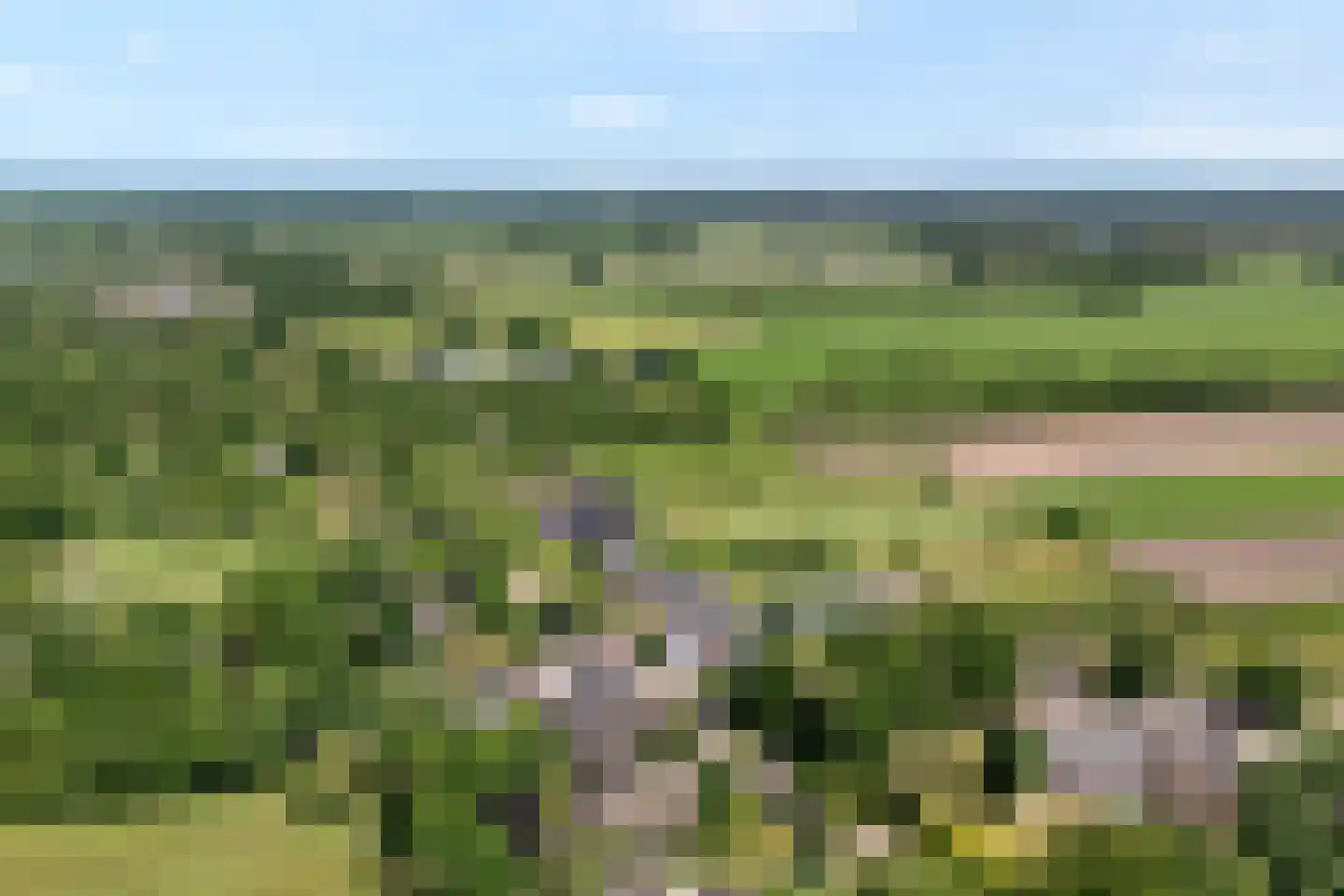 Midden 164 Wapserveen thumbnail 45