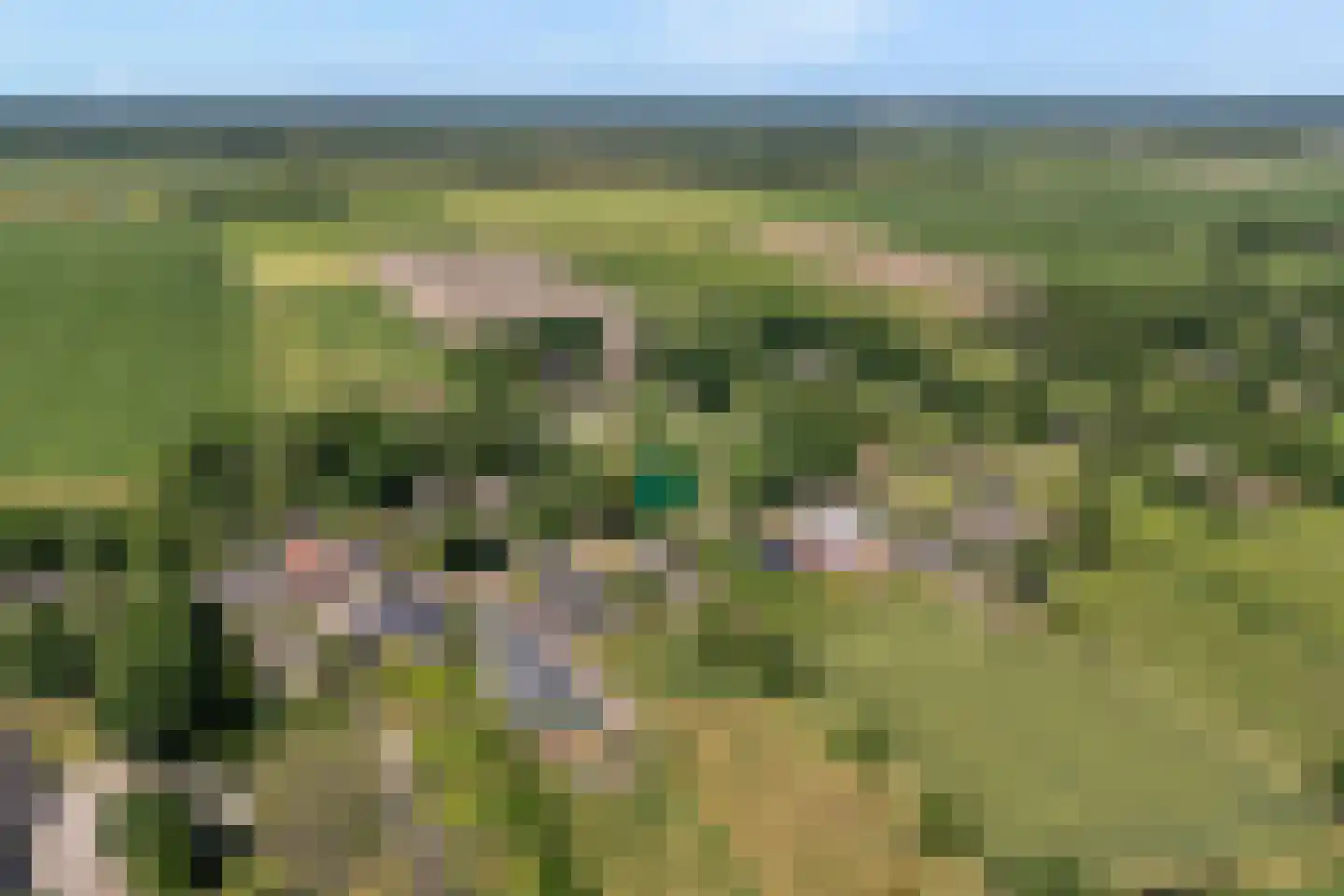 Midden 164 Wapserveen thumbnail 5
