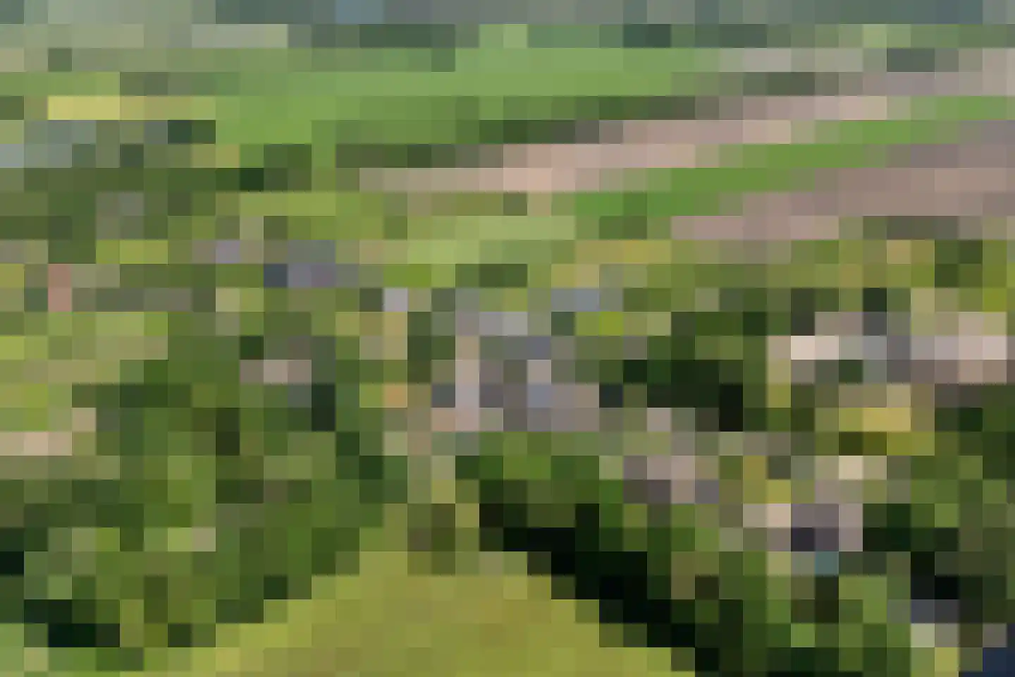 Midden 164 Wapserveen thumbnail 6
