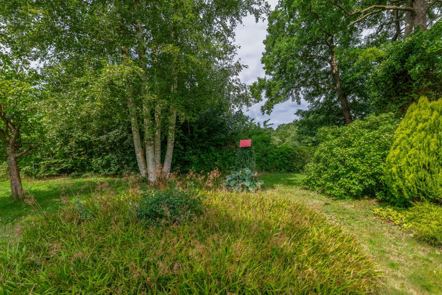 Midden 51 Wapserveen thumbnail 41