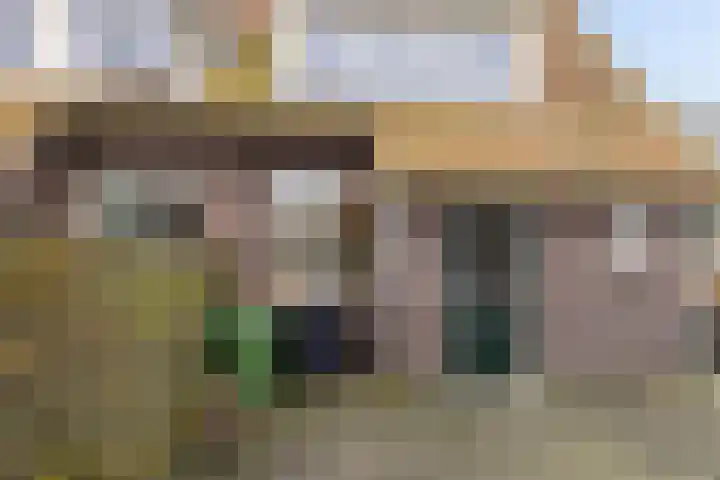 Midden 67 Wapserveen thumbnail 14