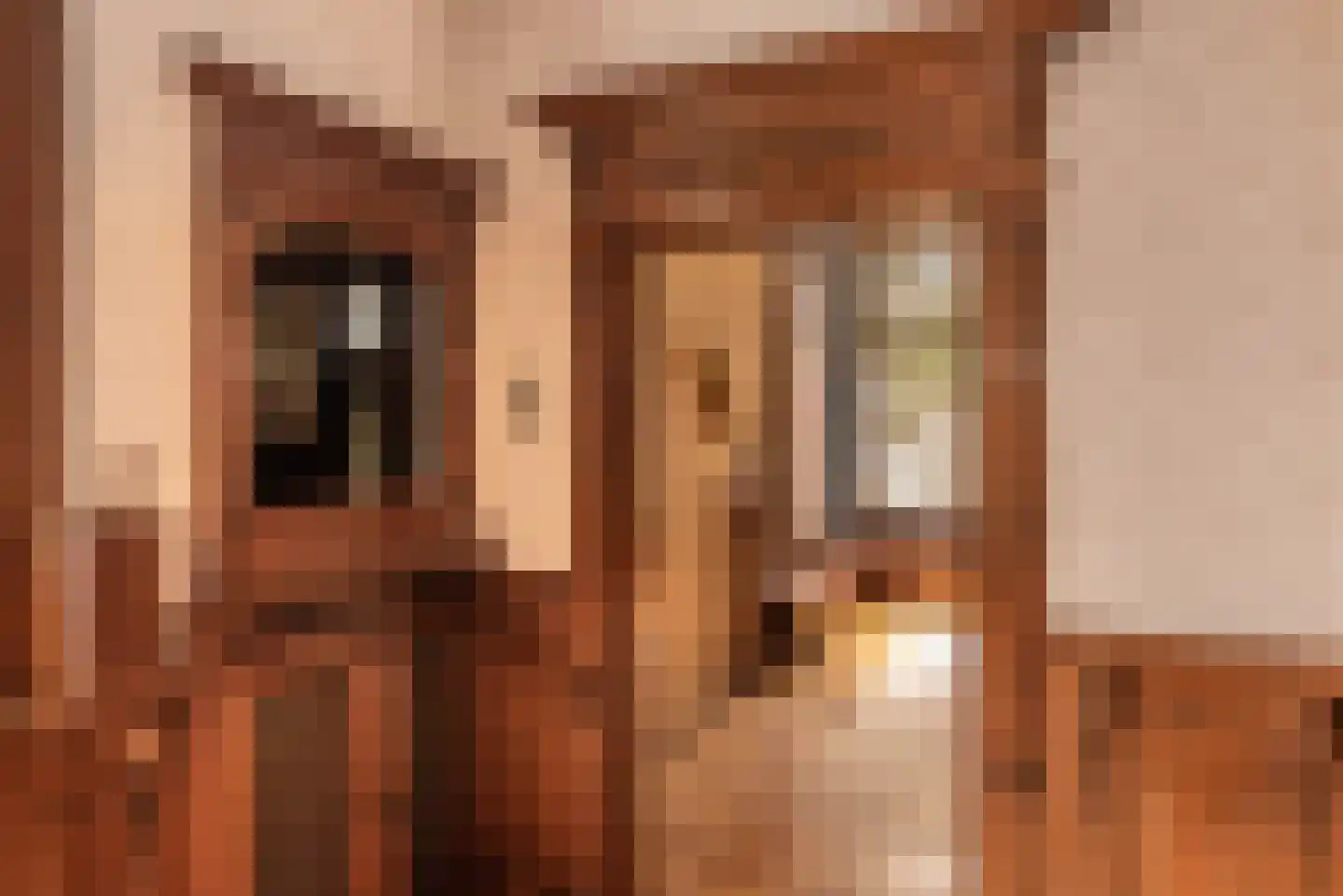 Midden Duin en Daalseweg 12 Bloemendaal thumbnail 12