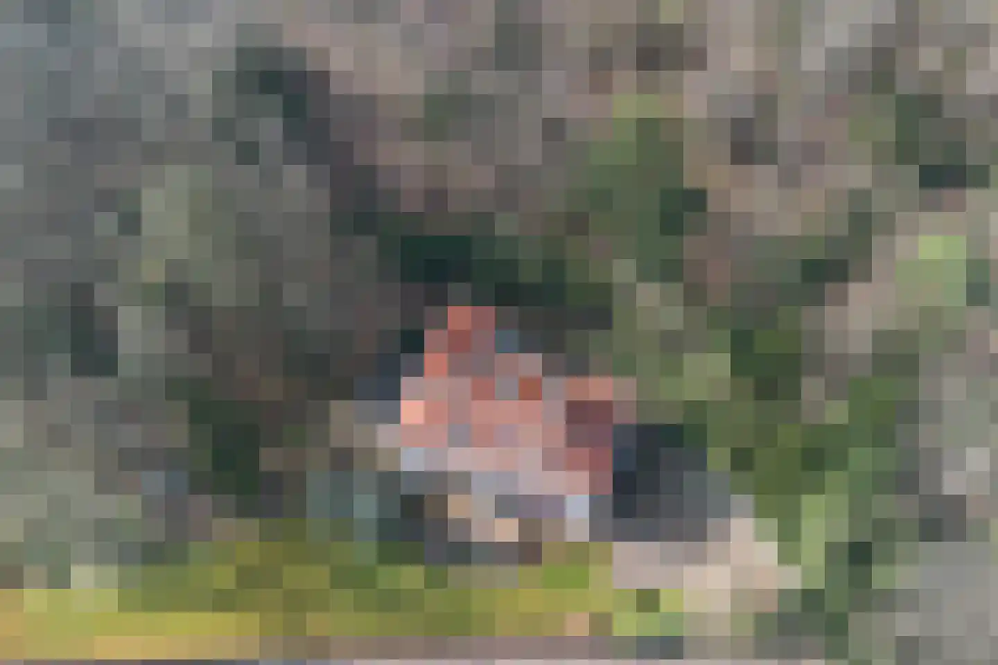 Midden Duin en Daalseweg 12 Bloemendaal thumbnail 33