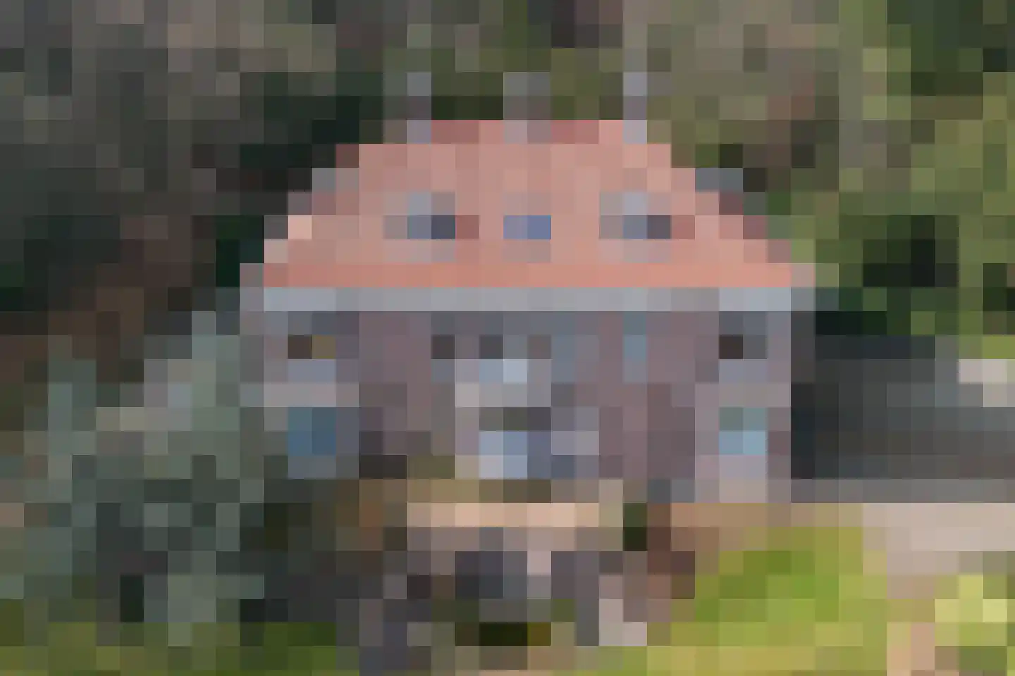 Midden Duin en Daalseweg 12 Bloemendaal thumbnail 35