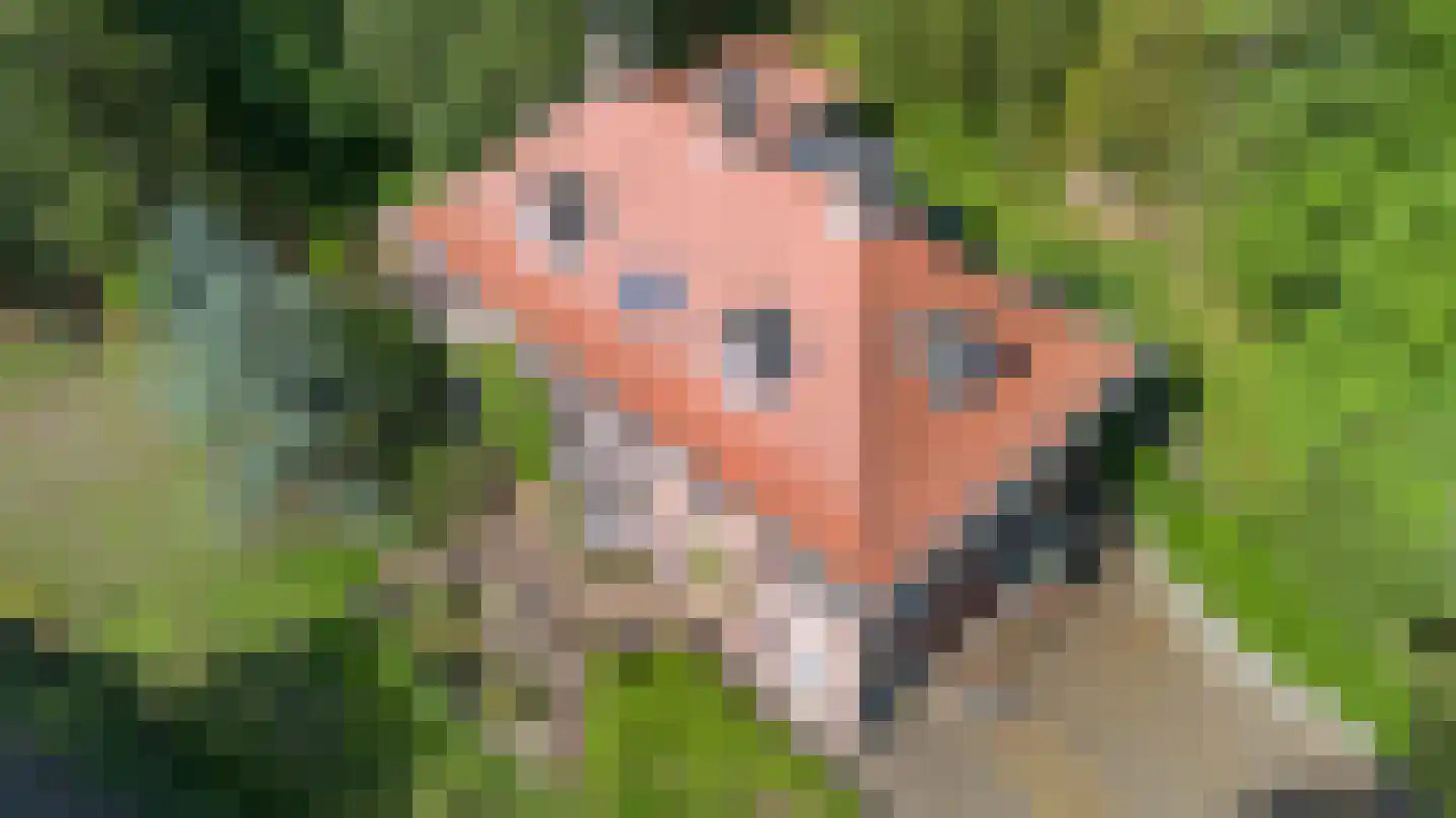 Midden Duin en Daalseweg 12 Bloemendaal thumbnail 41