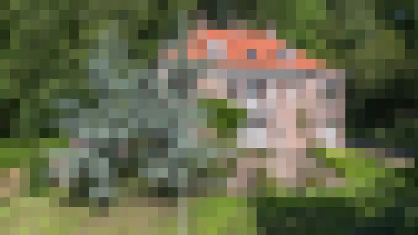 Midden Duin en Daalseweg 12 Bloemendaal thumbnail 5
