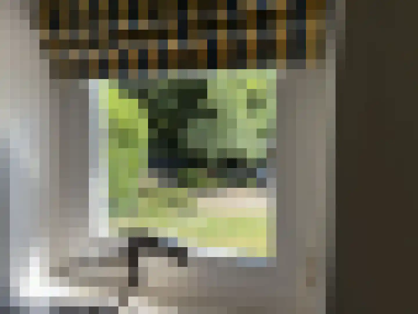 Midden Duin en Daalseweg 30 Bloemendaal thumbnail 32