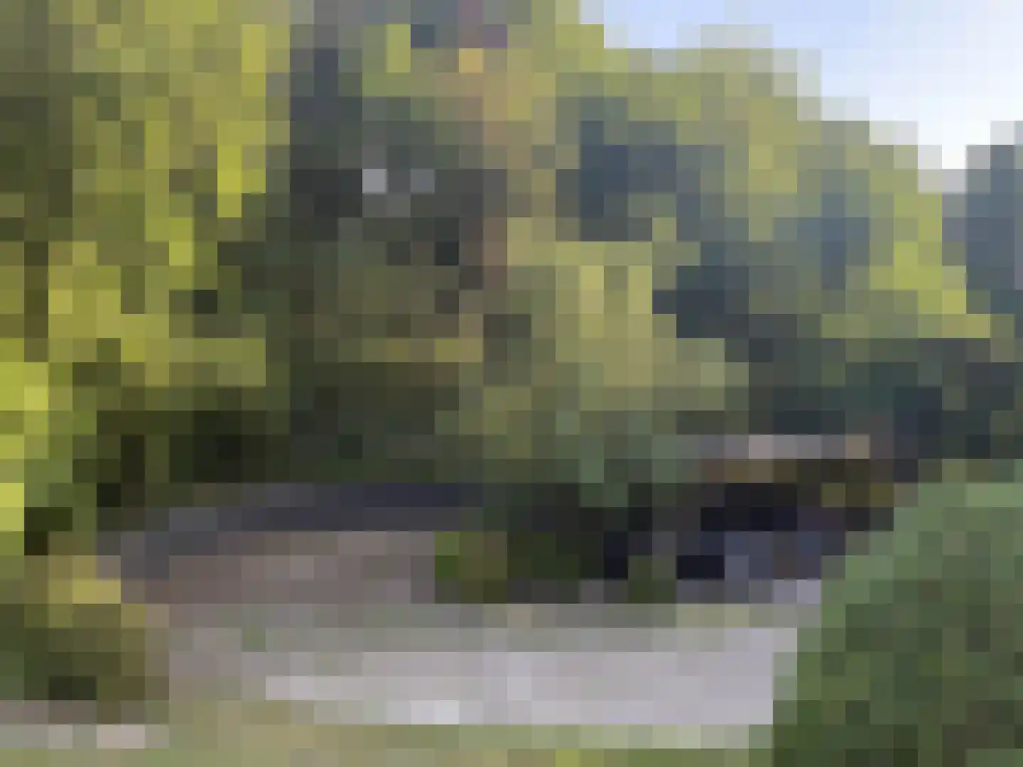 Midden Duin en Daalseweg 30 Bloemendaal thumbnail 38