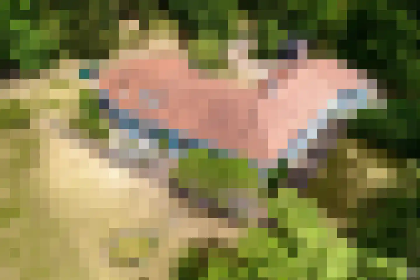 Midden Duin en Daalseweg 30 Bloemendaal thumbnail 4