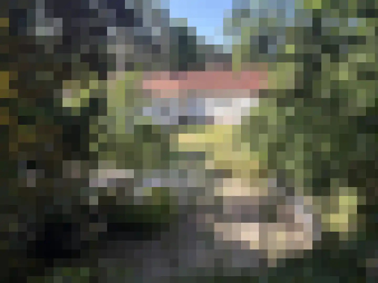 Midden Duin en Daalseweg 30 Bloemendaal thumbnail 42