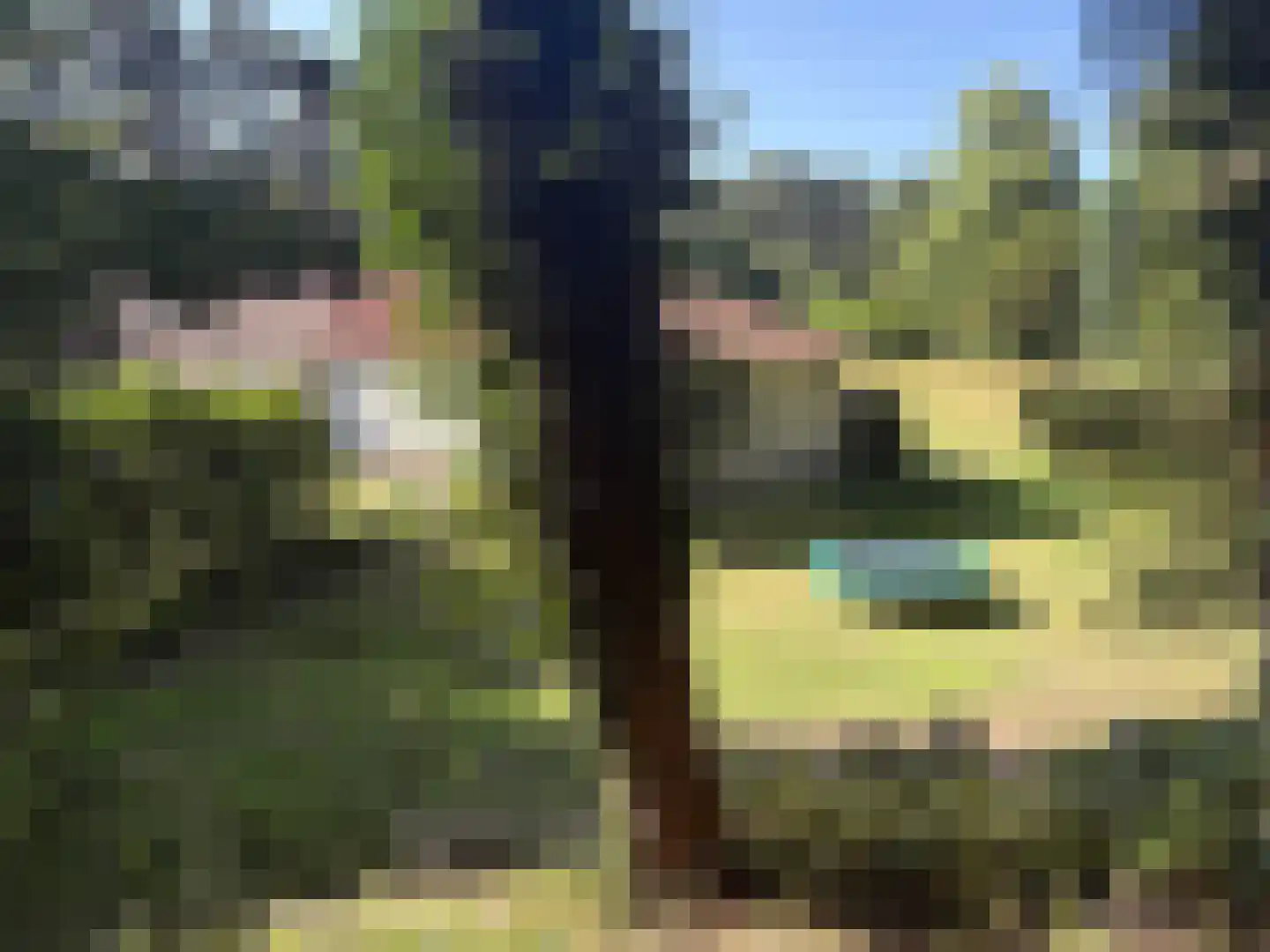 Midden Duin en Daalseweg 30 Bloemendaal thumbnail 44