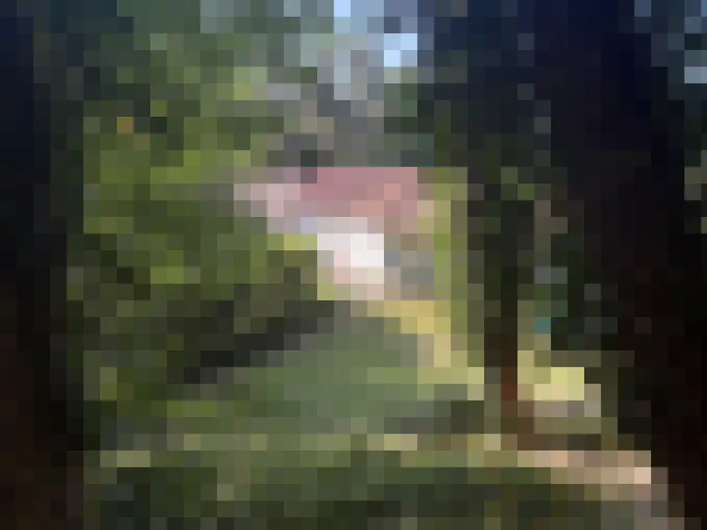 Midden Duin en Daalseweg 30 Bloemendaal thumbnail 45