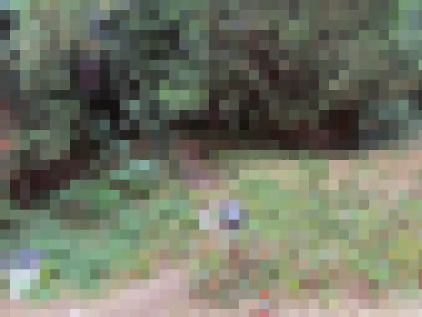 Midden Duin en Daalseweg 30 Bloemendaal thumbnail 49