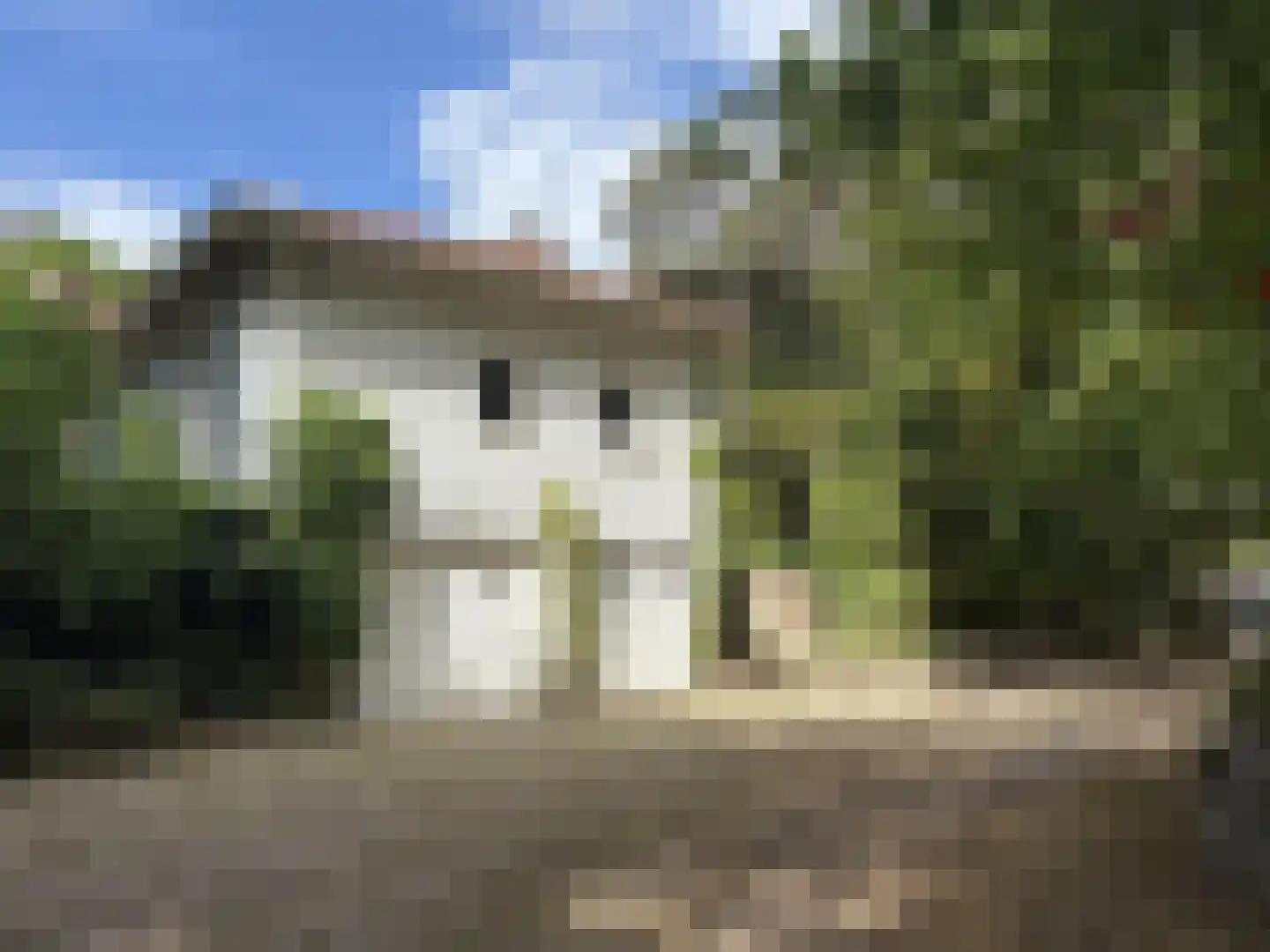 Midden Duin en Daalseweg 30 Bloemendaal thumbnail 5