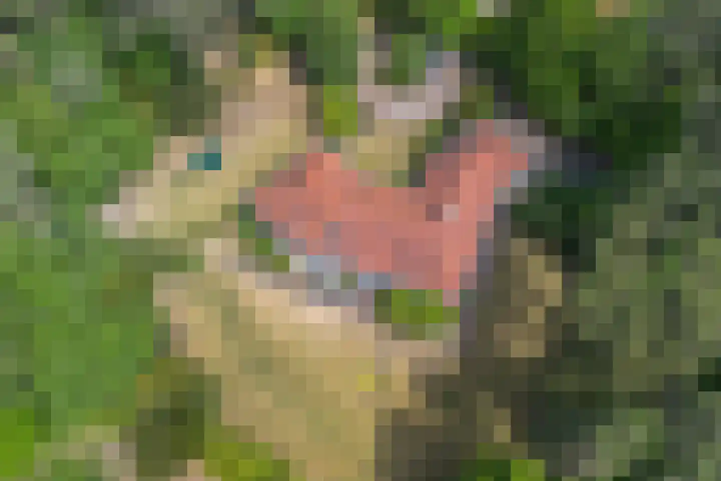Midden Duin en Daalseweg 30 Bloemendaal thumbnail 50